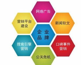 企业网络推广必备技能与软件服务指南