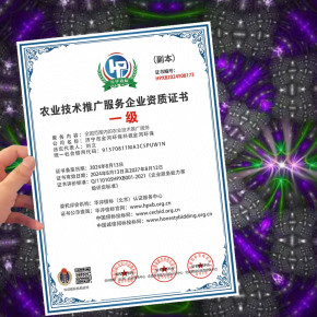 正规农业技术推广服务企业资质证书与软件服务办理指南